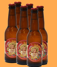Load image into Gallery viewer, La Güera del Barrio. Light organic craft beer brewed from tortilla offcuts. Sale only to those over 18 years of age