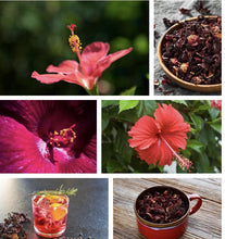 Load image into Gallery viewer, Jamaica / Hibiskus
